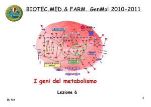 06 BIOTEC GenMol 10_11 metab