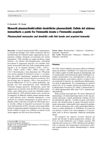 Monociti plasmacitoidi/cellule dendritiche plasmacitoidi. Cellule del