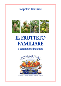 IL FRUTTETO FAMILIARE a conduzione biologica