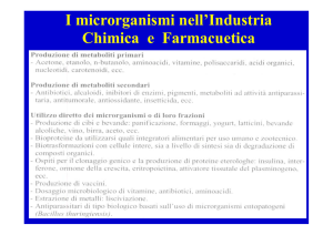 Lezione 14. - Università degli Studi di Parma
