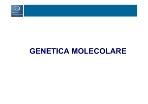 genetica molecolare - Sinergie Analitiche