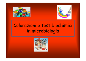 Colorazioni e test biochimici in microbiologia