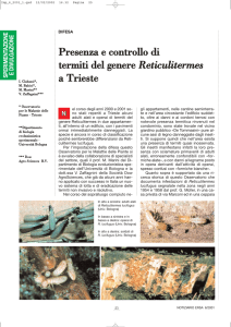 Presenza e controllo di termiti del genere Reticulitermes a