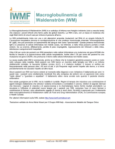 Macroglobulinemia di Waldenström (WM)