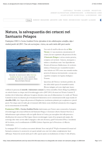 Natura, la salvaguardia dei cetacei nel Santuario Pelagos