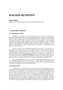 ecologia dei protisti - Università degli Studi di Parma