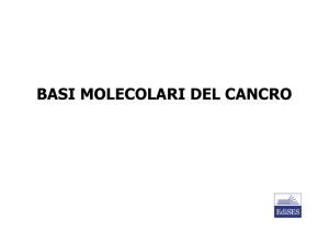 Basi Molecolari del Cancro