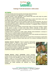 Catalogo Frutti del benessere