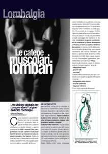 Lombalgia - Professione Fitness