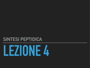 sintesi peptidica - Collegio Alessandro Volta