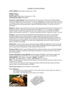 schede naturalistiche - Associazione Naturalistica Sandonatese