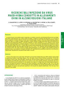 ricerche sull`infezione da virus maedi-visna condotte in