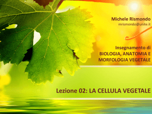 02 - Cellula Vegetale File - Progetto e