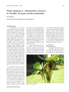 Pistia stratiotes L. (Alismatales: Araceae) in Versilia
