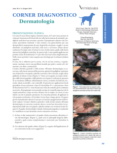 CORNER DIAGNOSTICO Dermatologia