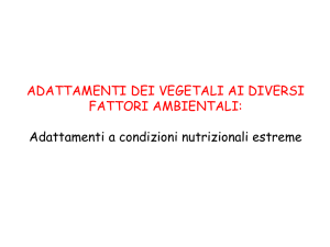 Lez9a_Adattamento vegetali all`ambiente2014