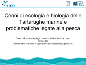 Cenni di ecologia e biologia delle Tartarughe marine