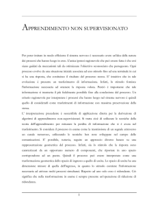 APPRENDIMENTO NON SUPERVISIONATO