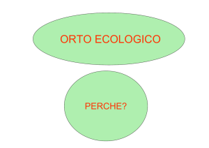 ORTO ECOLOGICO