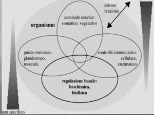 Diapositiva 1