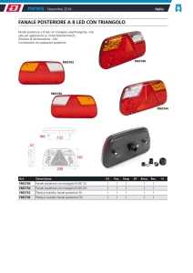 fanale posteriore a 8 led con triangolo