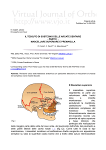Document  - Virtual Journal of Orthodontics