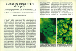 La funzione immunologica della pelle