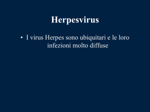 Herpesvirus - WordPress.com