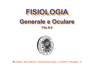 Fis Gen Oculare 06