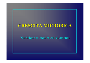 crescita microbica