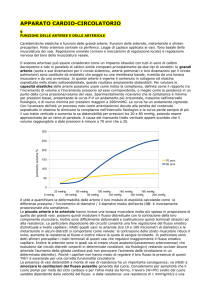 apparato cardio-circolatorio