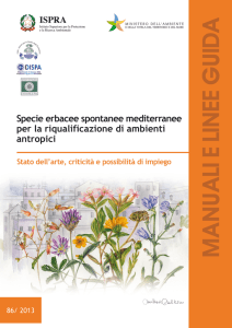 Scarica la pubblicazione (pdf 9 Mb)