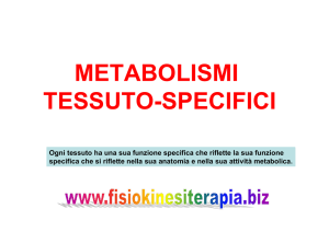 metabolismi tessuto-specifici