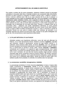 APPROFONDIMENTO SUL DE ANIMA DI