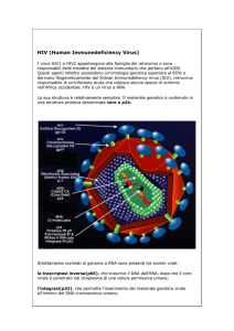 Approfondimento su struttura e replicazione dell`HIV
