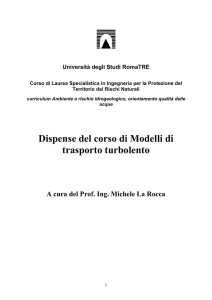 Dispense del corso di Modelli di trasporto turbolento