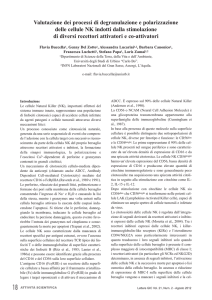 Valutazione dei processi di degranulazione e polarizzazione delle