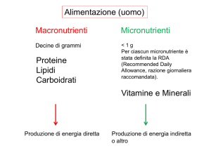 Le vitamine