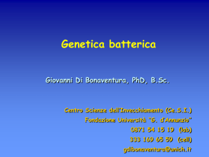 6a lezione genetica batterica