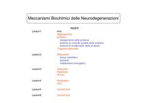 Meccanismi Biochimici delle Neurodegenerazioni