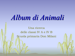 3) Album Animali