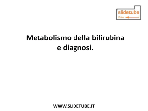 Metabolismo della bilirubina