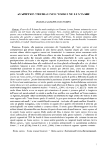 Cervello Budetta