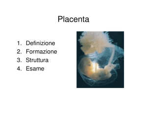 Bernasconi G. Placenta un organo per due, 06 novembre 2007.