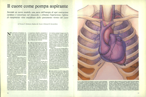 Il cuore come pompa aspirante