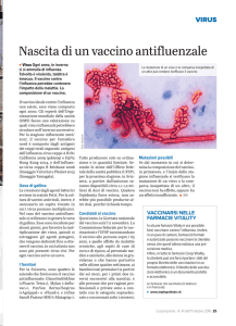 Nascita di un vaccino antifluenzale