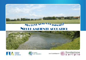 NEGLI AMBIENTI ACqUATICI - Fondazione Lombardia per l`Ambiente