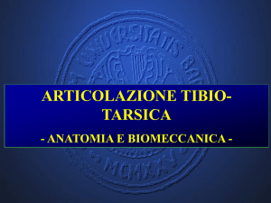 Diapositiva 1 - prof. Donato VITTORE