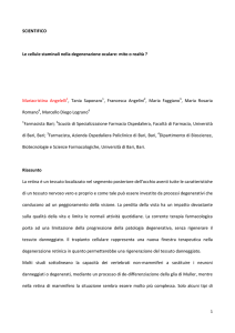 scarica approfondimento