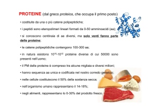 "proteine di"